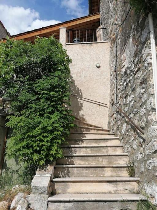La Maison De La Vigne Bauduen Εξωτερικό φωτογραφία